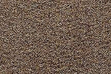 1982-88 Oldsmobile Firenza Carpet by ACC