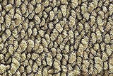 1971-73 Oldsmobile Custom Cruiser Carpet by ACC