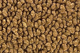 1964-67 Chevrolet Chevelle Carpet - Loop