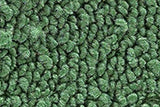 1955-57 Pontiac Chieftain Floor Mats