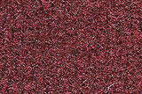 1985-91 Pontiac Grand Am Carpet by ACC