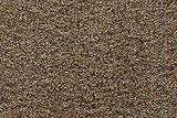 1985-91 Pontiac Grand Am Carpet by ACC