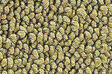 1971-73 Chevrolet Bel Air 4 Door Carpet by ACC
