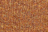 1975-82 Chevrolet LUV Carpet by ACC